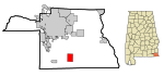 Houston County Alabama Incorporated and Unincorporated areas Cottonwood Highlighted